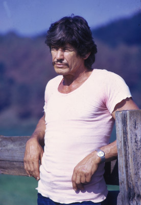 photo 7 in Charles Bronson gallery [id280331] 2010-07-23 00:00:00