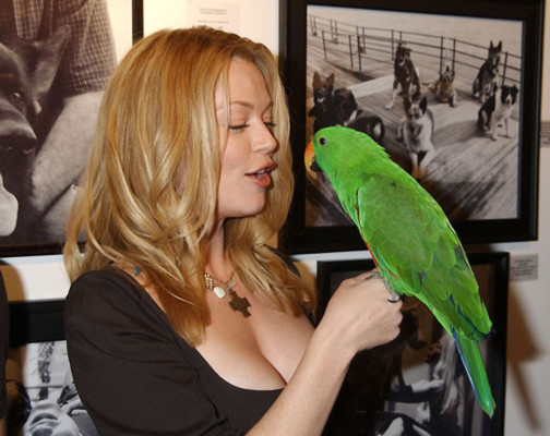 photo 15 in Charlotte Ross gallery [id10939] -0001-11-30 00:00:00