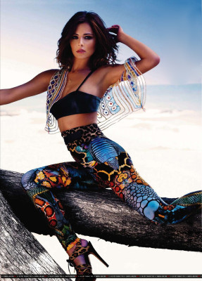 Cheryl Ann Fernandez-Versini pic #321216