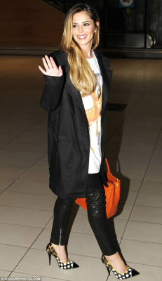 Cheryl Ann Fernandez-Versini pic #715168