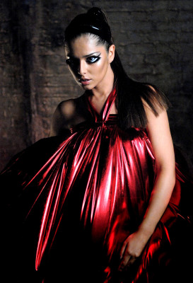 Cheryl Ann Fernandez-Versini pic #521962