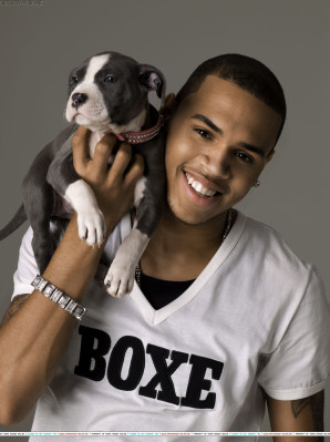 Chris Brown pic #120501