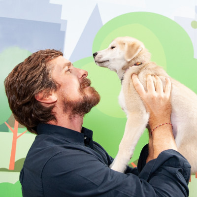 TIFF2019 || Actors with Puppies