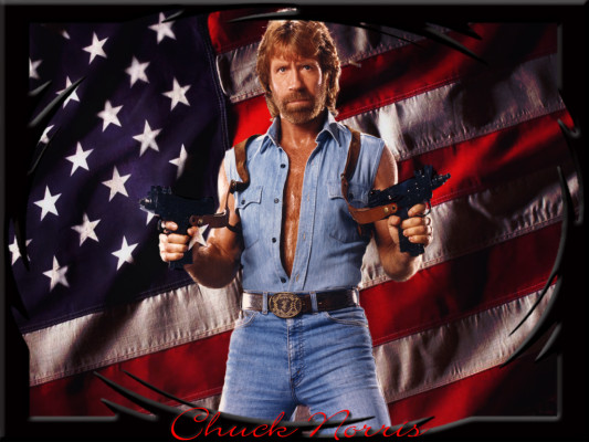 photo 11 in Chuck Norris gallery [id113344] 2008-10-22 00:00:00