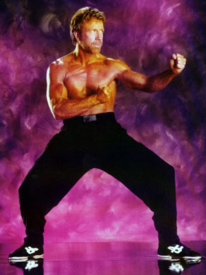 photo 8 in Chuck Norris gallery [id113347] 2008-10-22 00:00:00