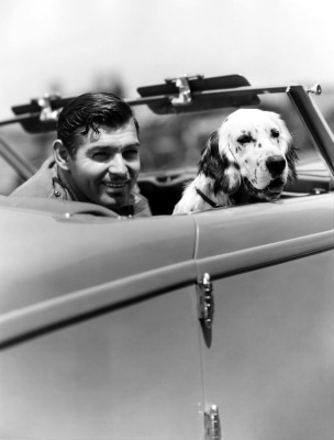 Clark Gable pic #241845