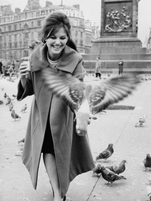 Claudia Cardinale pic #370581