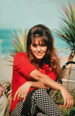 Claudia Cardinale pic #168342