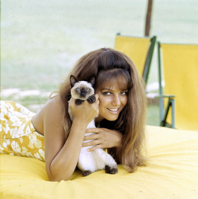 Claudia Cardinale pic #138779
