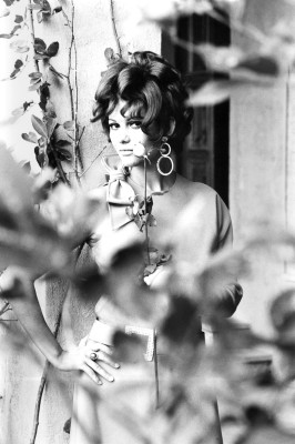 Claudia Cardinale pic #479421