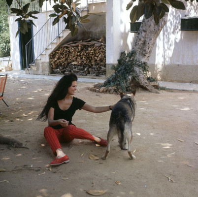 Claudia Cardinale pic #482009