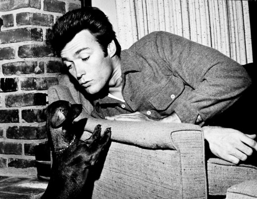 photo 10 in Clint gallery [id76056] -0001-11-30 00:00:00