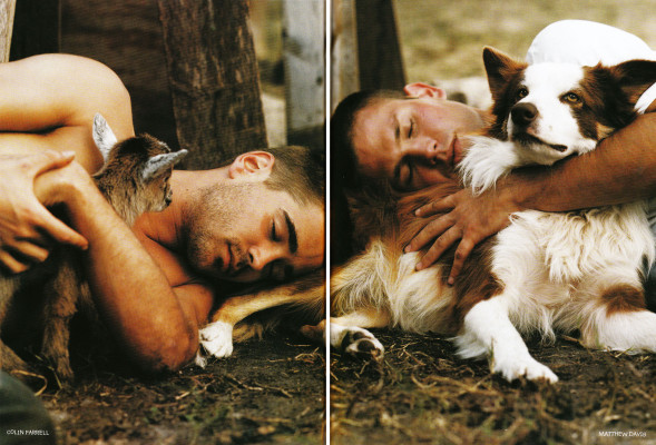Colin Farrell pic #227237