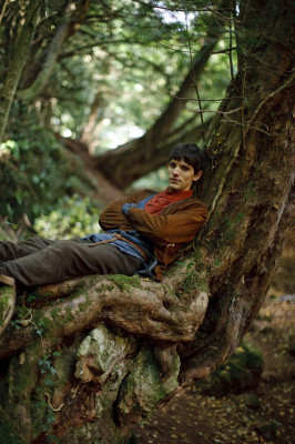Colin Morgan pic #619634