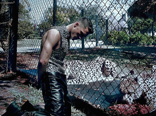 photo 7 in Colton Haynes gallery [id783869] 2015-01-05 00:00:00