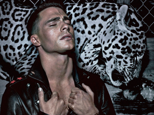 photo 3 in Colton Haynes gallery [id783868] 2015-01-05 00:00:00