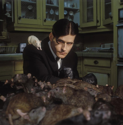 photo 4 in Crispin Glover gallery [id242811] 2010-02-11 00:00:00