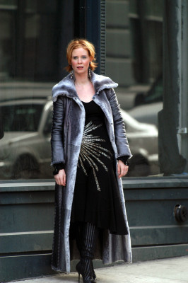 photo 16 in Cynthia Nixon gallery [id9071] -0001-11-30 00:00:00