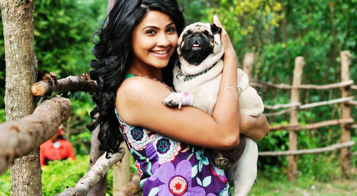 Daisy Shah pic #1111646