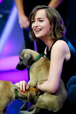 Dakota Johnson pic #816351