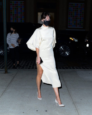 Dakota Johnson-Night Out in New York 