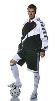 David Beckham pic #423255