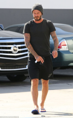David Beckham pic #736275