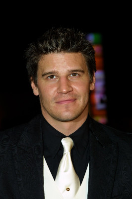 David Boreanaz pic #109303