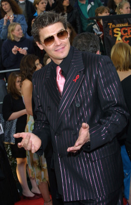 David Boreanaz pic #109291