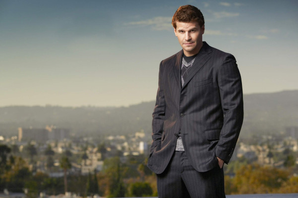 David Boreanaz pic #257737