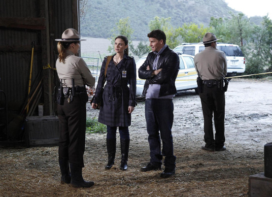 David Boreanaz pic #705690