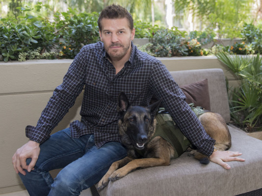 David Boreanaz - &#039;Seal Team&#039; Press Conference in Beverly Hills (October 2017)