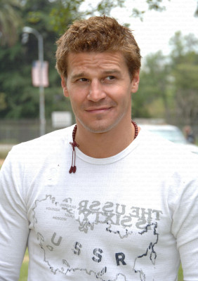 David Boreanaz pic #128745