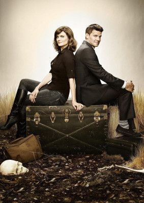 David Boreanaz pic #706823