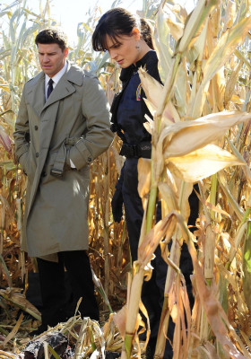 David Boreanaz pic #707893