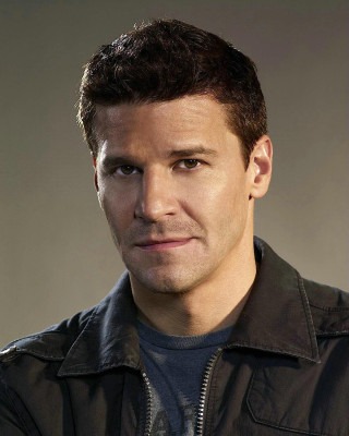 David Boreanaz pic #704428