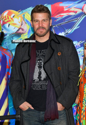 David Boreanaz - Cirque Du Soleil&#039;s &#039;Volta&#039; LA Premiere 01/21/2020