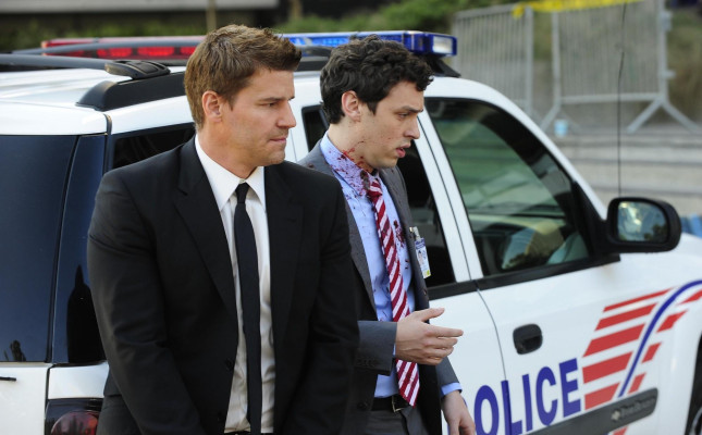 David Boreanaz pic #707808