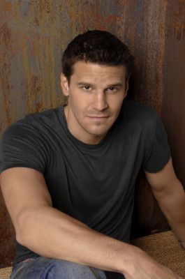 David Boreanaz - L Cohen Photoshoot 07/22/2006