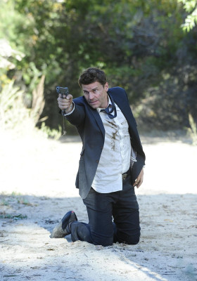 David Boreanaz pic #707804