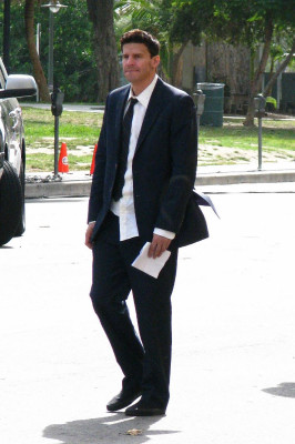David Boreanaz pic #704437
