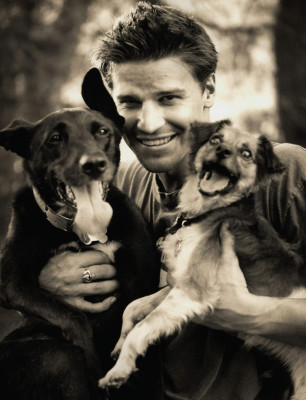 David Boreanaz pic #267588