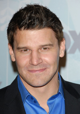 David Boreanaz pic #707418