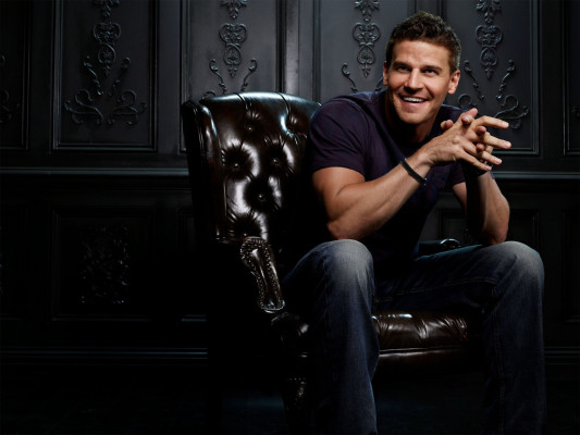 David Boreanaz pic #376826