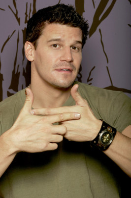 David Boreanaz pic #257738