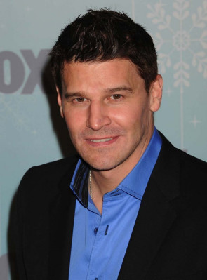 David Boreanaz pic #342389