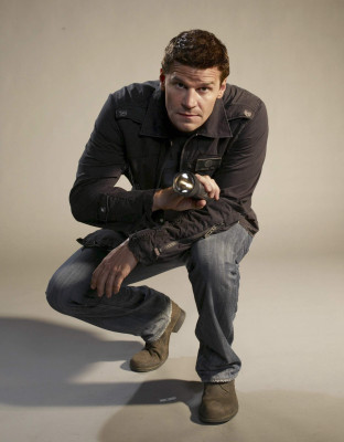 David Boreanaz pic #257730