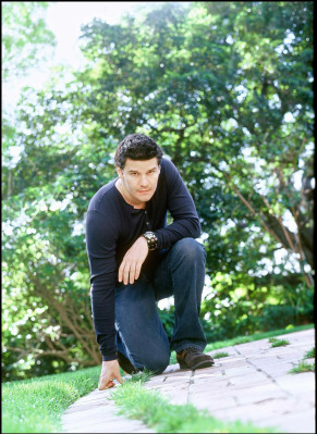 David Boreanaz pic #36790