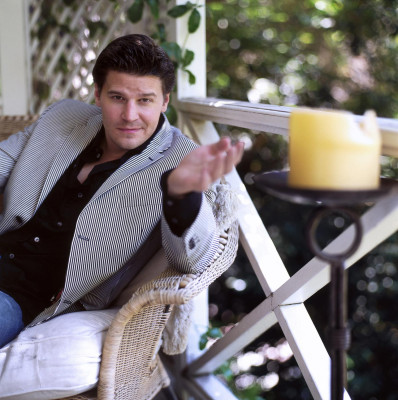 David Boreanaz pic #36780