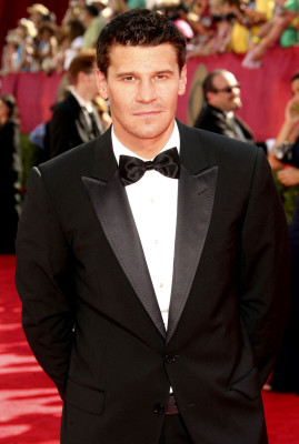 David Boreanaz pic #228349